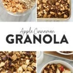 The Best Homemade Apple Cinnamon Granola