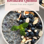 Blueberry Breakfast Quinoa