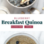blueberry breakfast quinoa