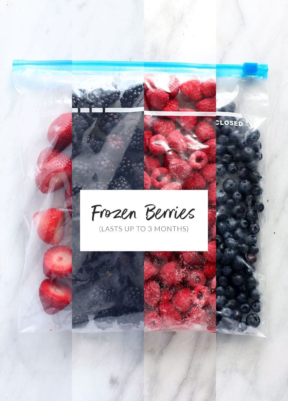 MSC Ziploc™ Freezer Bag