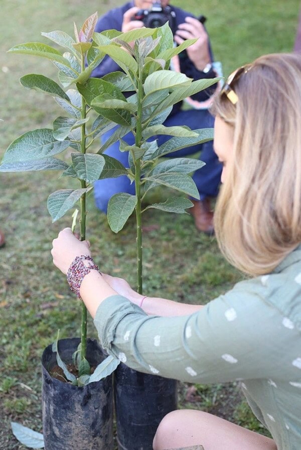 a woman is planting a tree in a pot.