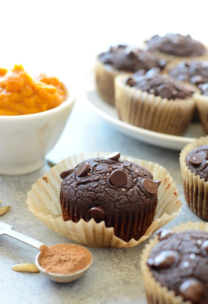Chocolate pumpkin muffin with chocolate chips