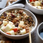 Two Greek yogurt breakfast bowls with granola, apples, and cranberries.