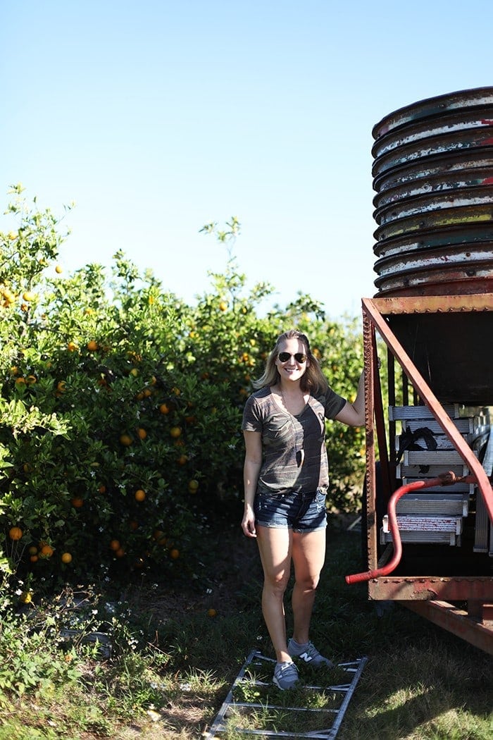 From the grove to glass -- recapping my tour with Tropicana on how oranges go from a whole fruit to juice! 