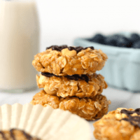 A stack of peanut butter oatmeal cookies with blueberries and a glass of milk.