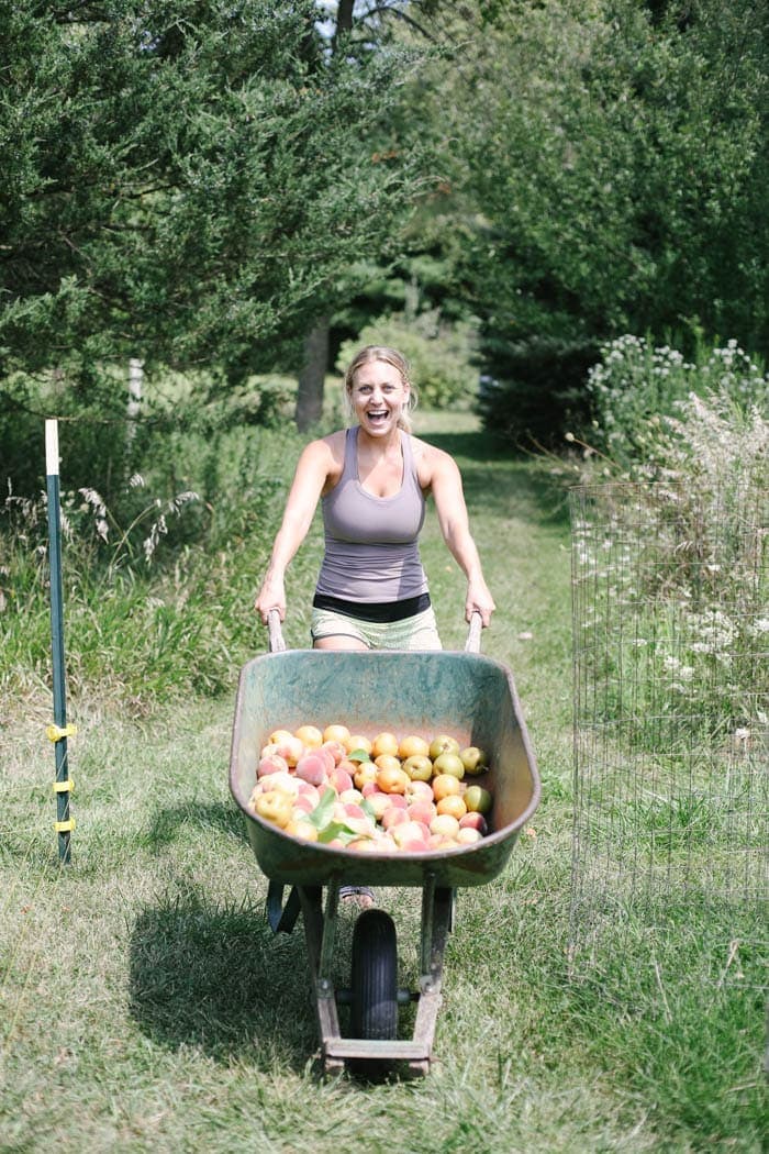 Fit Foodie Travels: Peach Harvest in IL + Seasonal Recipes to Make Right Now!