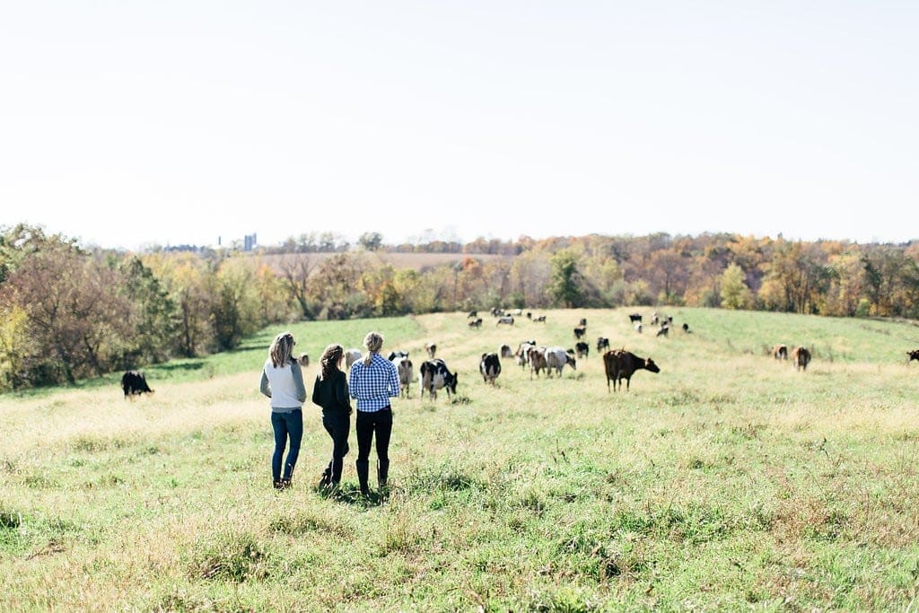 Want to know more about life on an Organic Valley Farm? In this post, you'll learn all about why we love Organic Valley Coop, as well as what it's like to run an Organic Valley Farm!