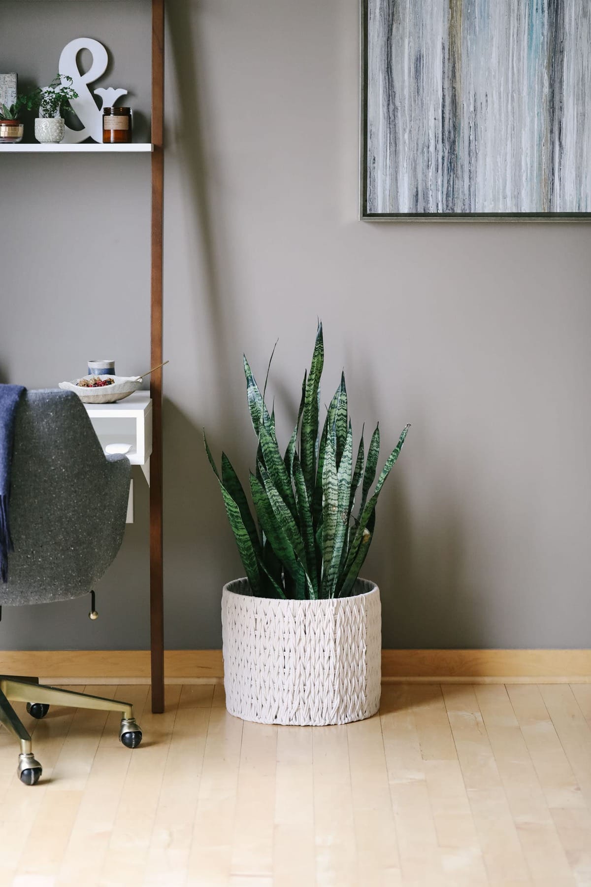 Plants make the world go round (literally) and I love them so much. Read all about the reasons why I love plants! In this post I also share which plants I have and how to take care of each one.