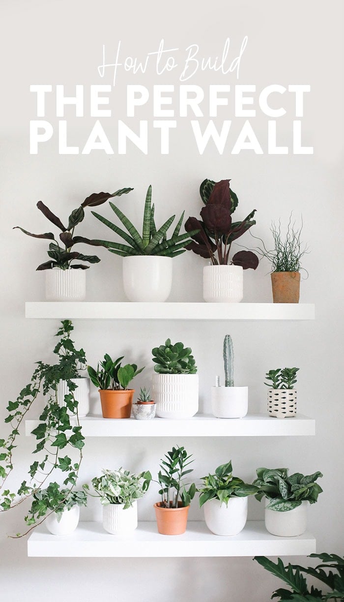 Plant Wall 1 