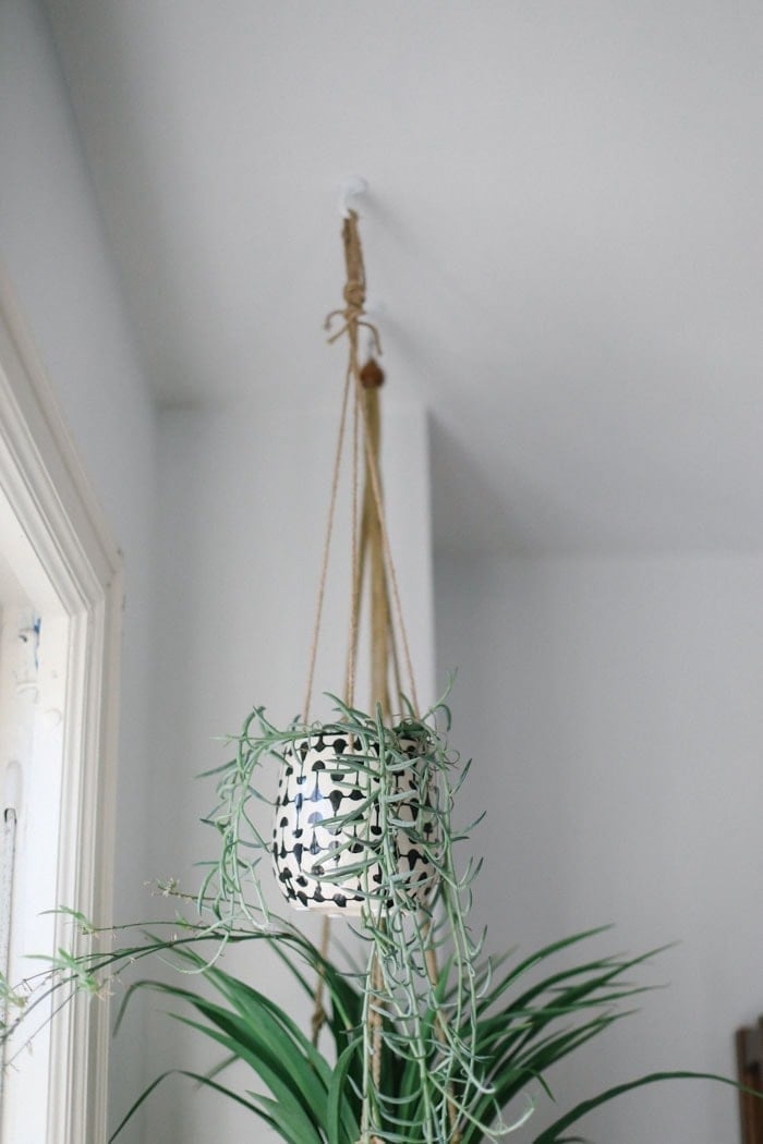 Hanging Planters