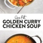 A photo of curry chicken soup.