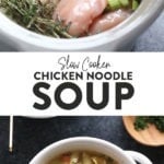Chicien Noodle Soup Slow Cooker