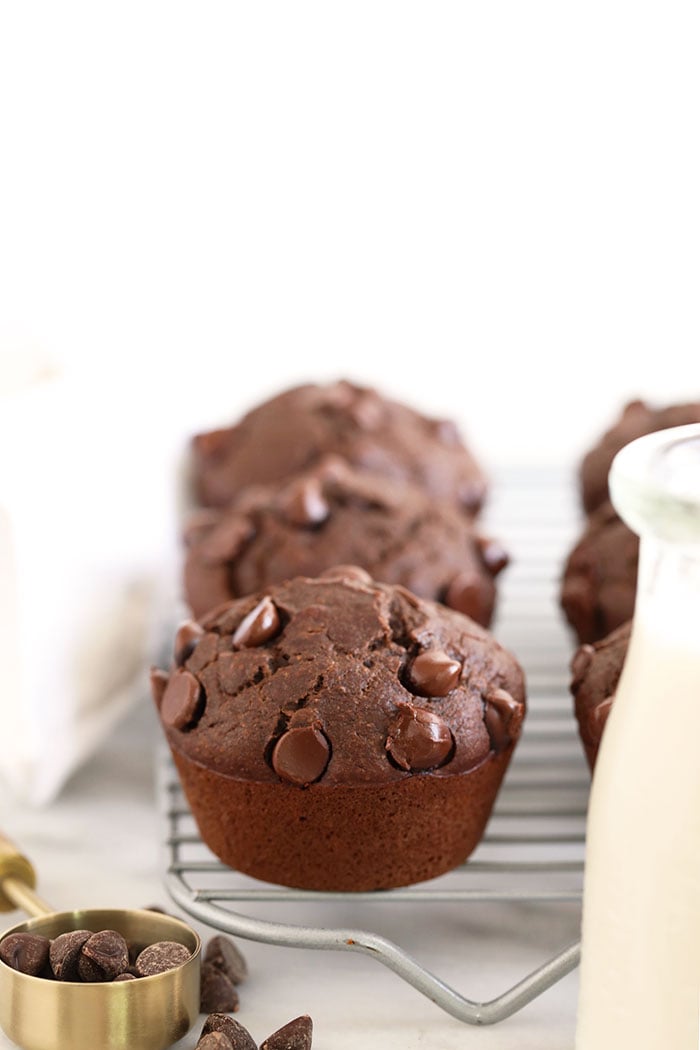 Healthy Chocolate Muffins - Fit Foodie Finds