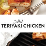Chicken marinated in teriyaki sauce and cooked over an open flame.