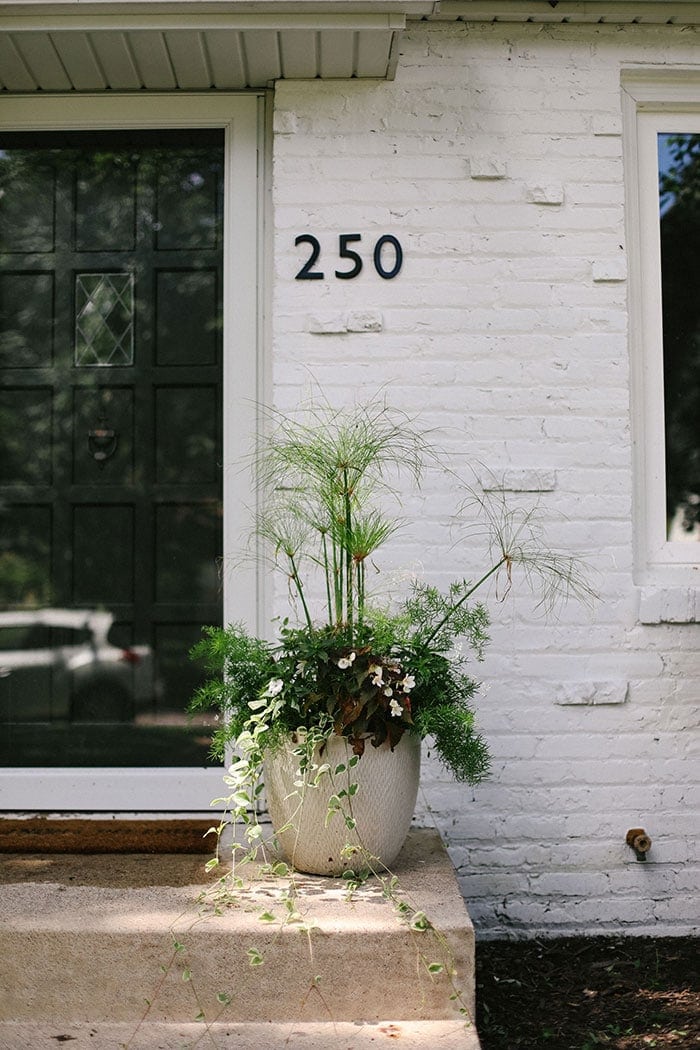 white brick house with flower pot