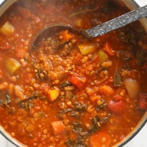 a Sweet Potato and Lentil Stew with vegetables.
