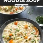 chicken noodle soup with orzo