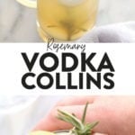 rosemary vodka collins