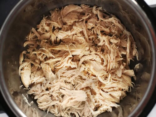 Instant pot shredded chicken 1 lb sale