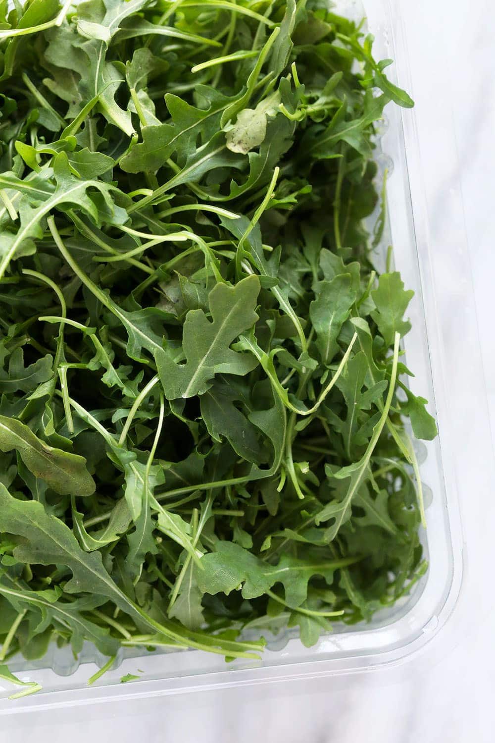 Arugula in a container