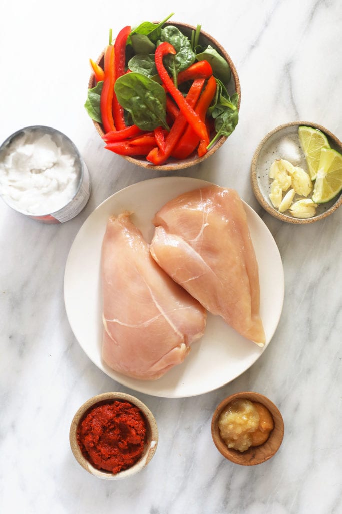 chicken breast and other coconut curry ingredients