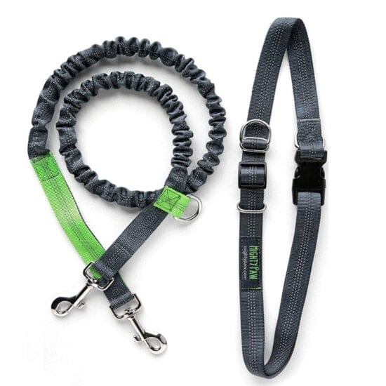 a grey and green dog leash with a green collar.