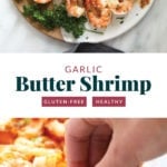 garlic butter shrimp being dipped in melted butter