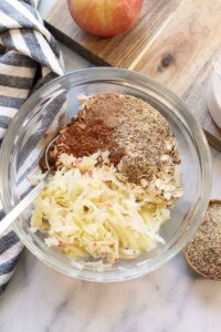 A bowl of apple cinnamon overnight oats.