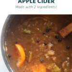 spiked apple cider in the instant pot
