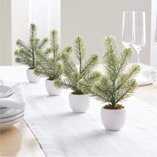 three pine trees in white pots on a table.