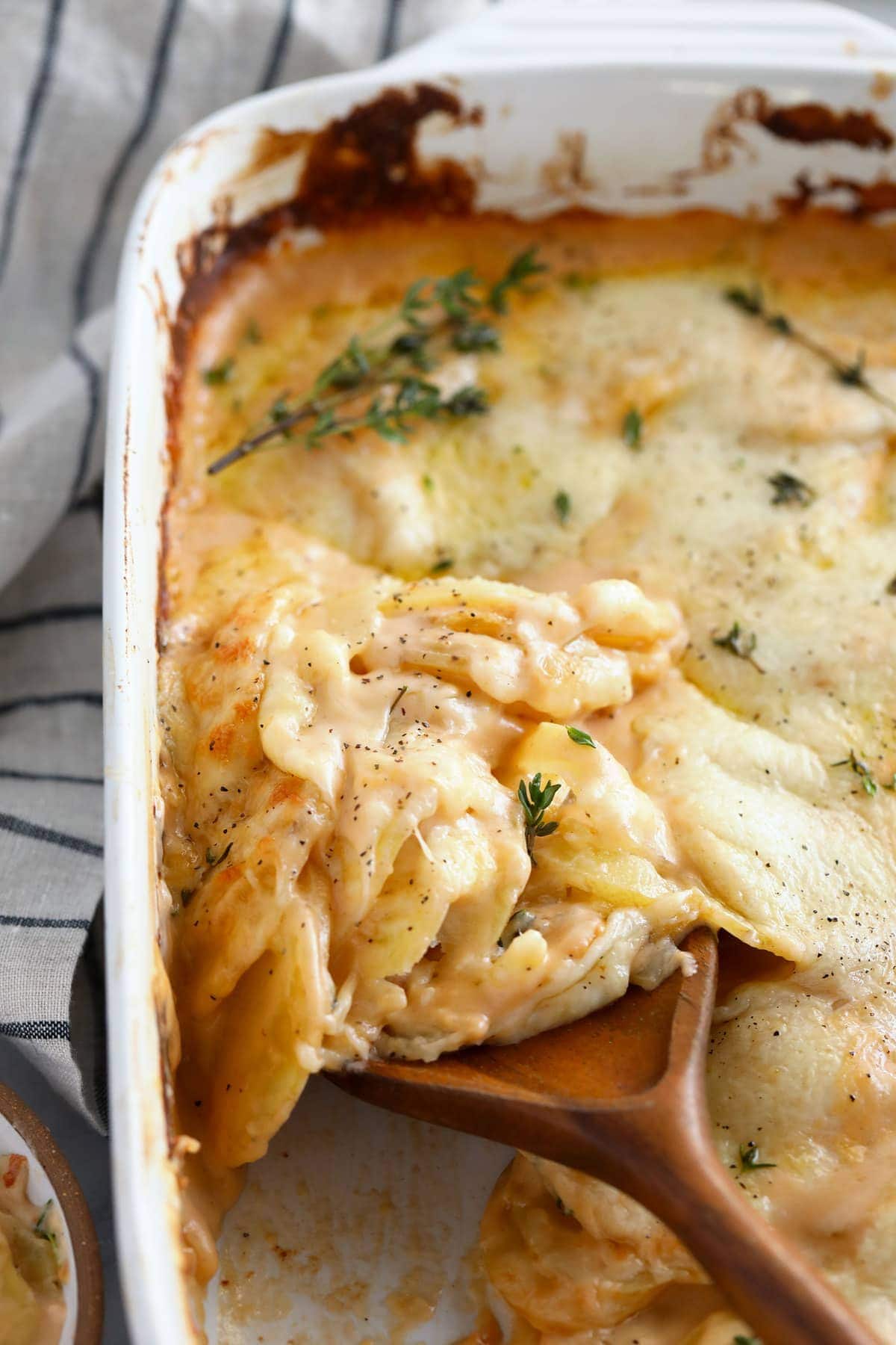 Cheesy scalloped potatoes in a casserole dish. 