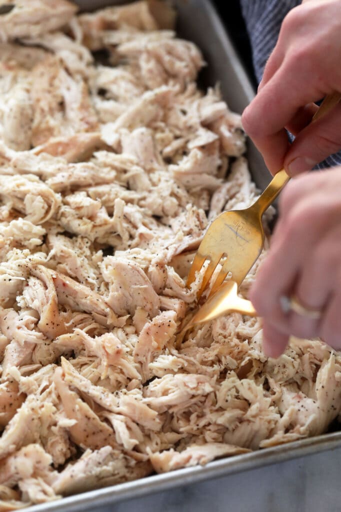 chicken breast being shredded with two forks