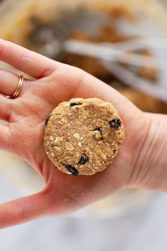 A flattened oatmeal raisin cookie in the palm of a hand. 