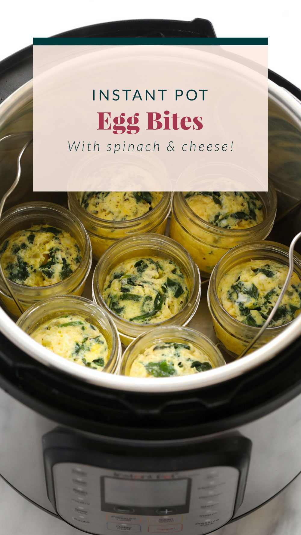 Instant Pot Egg Bites