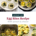 Instant Pot Egg Bites