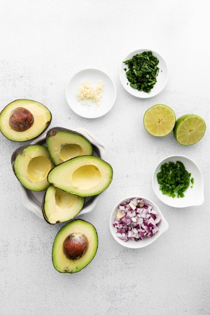 Guacamole Bowls - 12 Pc.