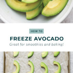 how to freeze avocado