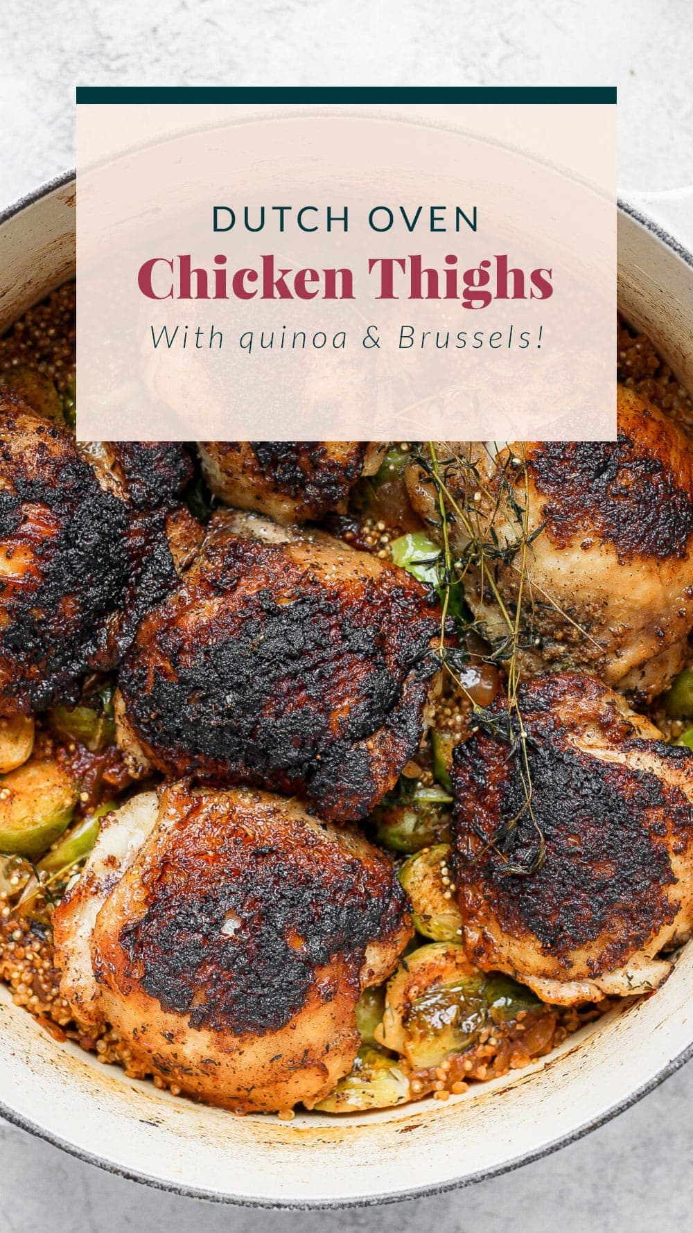 Dutch Oven Chicken Thighs - Fit Foodie Finds
