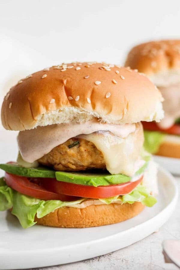 two chicken burgers on a white plate.