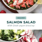 salmon salad in bowl