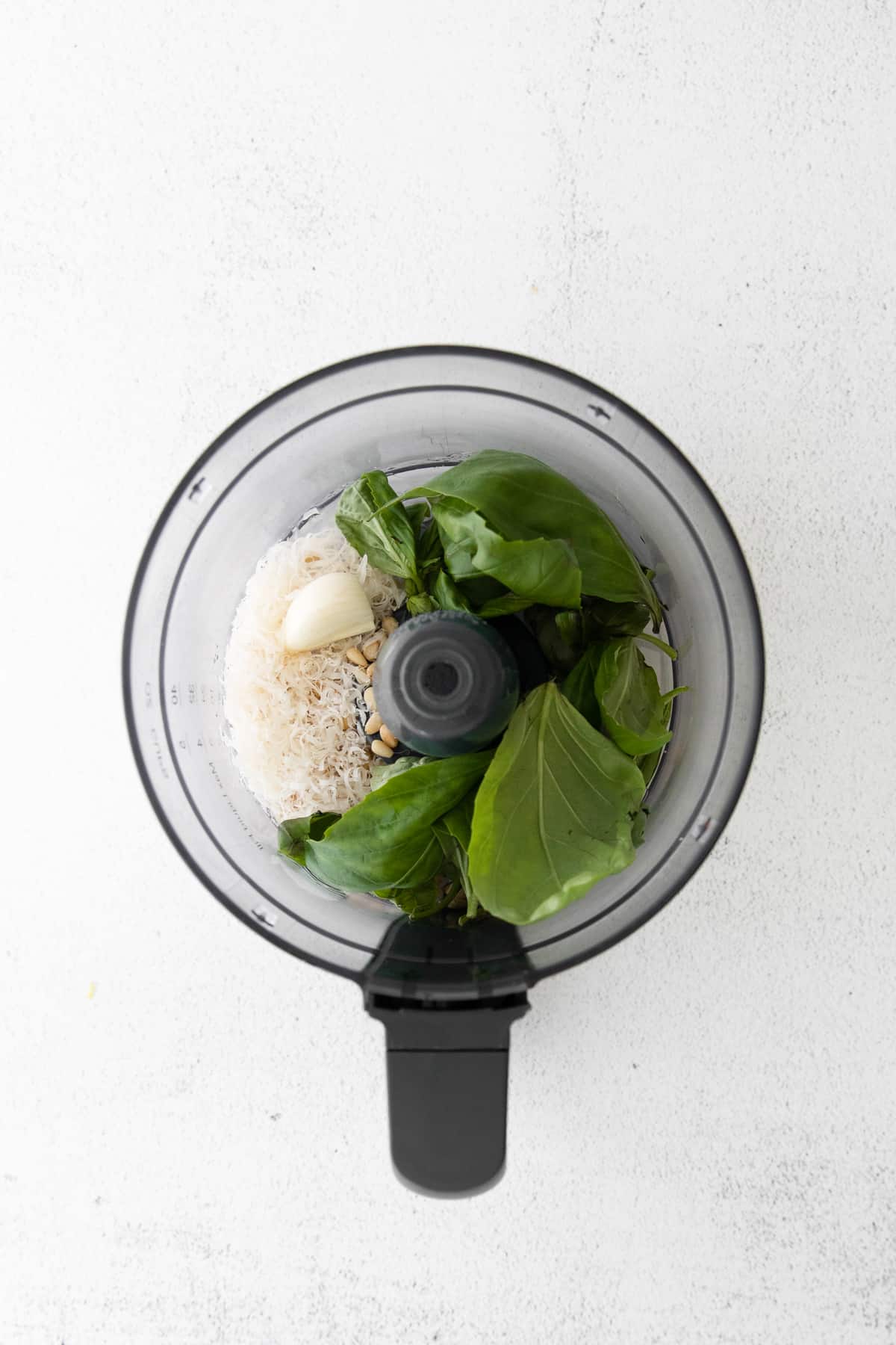 basil in food processor