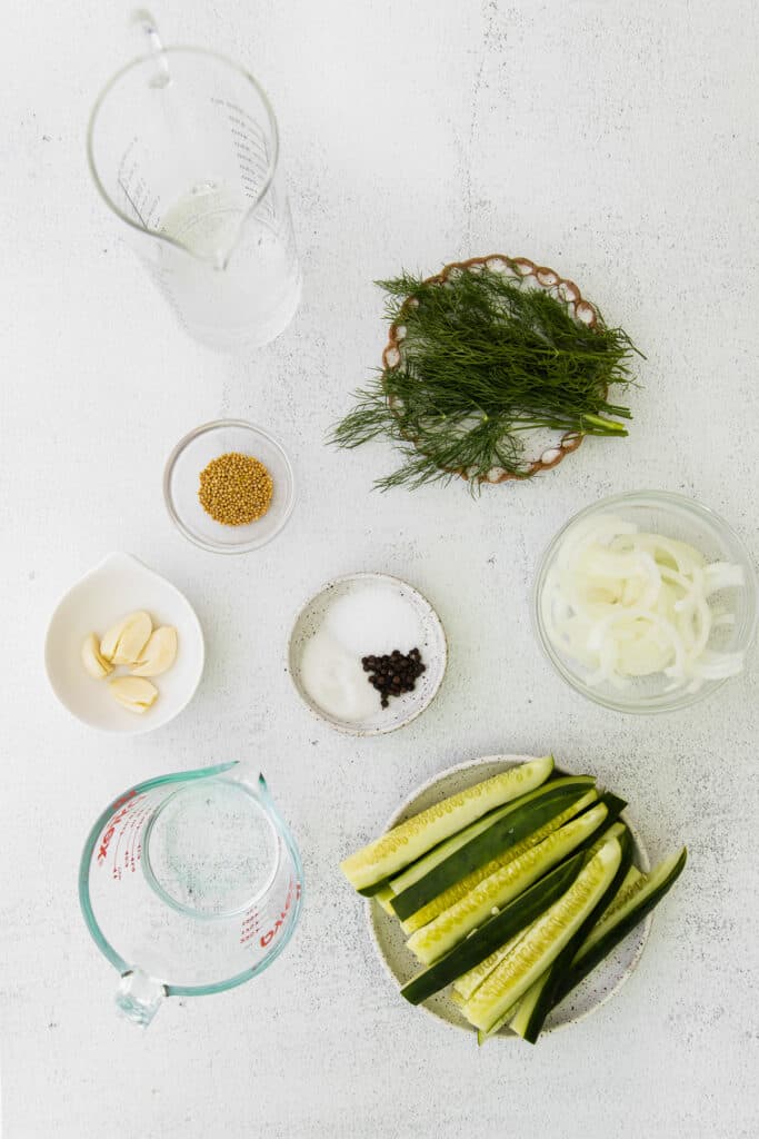  Sliced &acirc;€‹&acirc;€‹cucumber, fresh dill, white onion, mustard seeds, sugar, garlic, and vinegar on the countertop. 