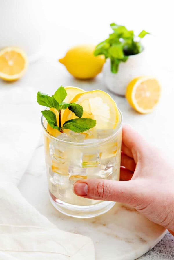 a hand holding a glass of water with lemons and mint.