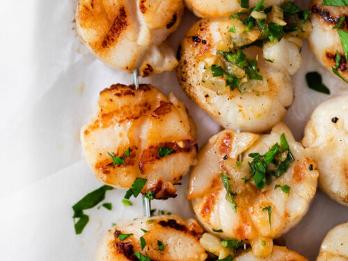 Grilled scallops and shrimp best sale