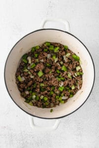 cooking beef in pot.