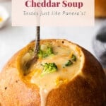 cheddar soup