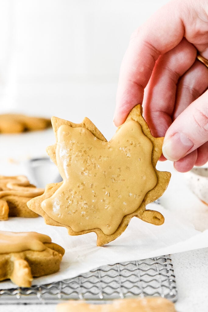 hand holding sugar cookie