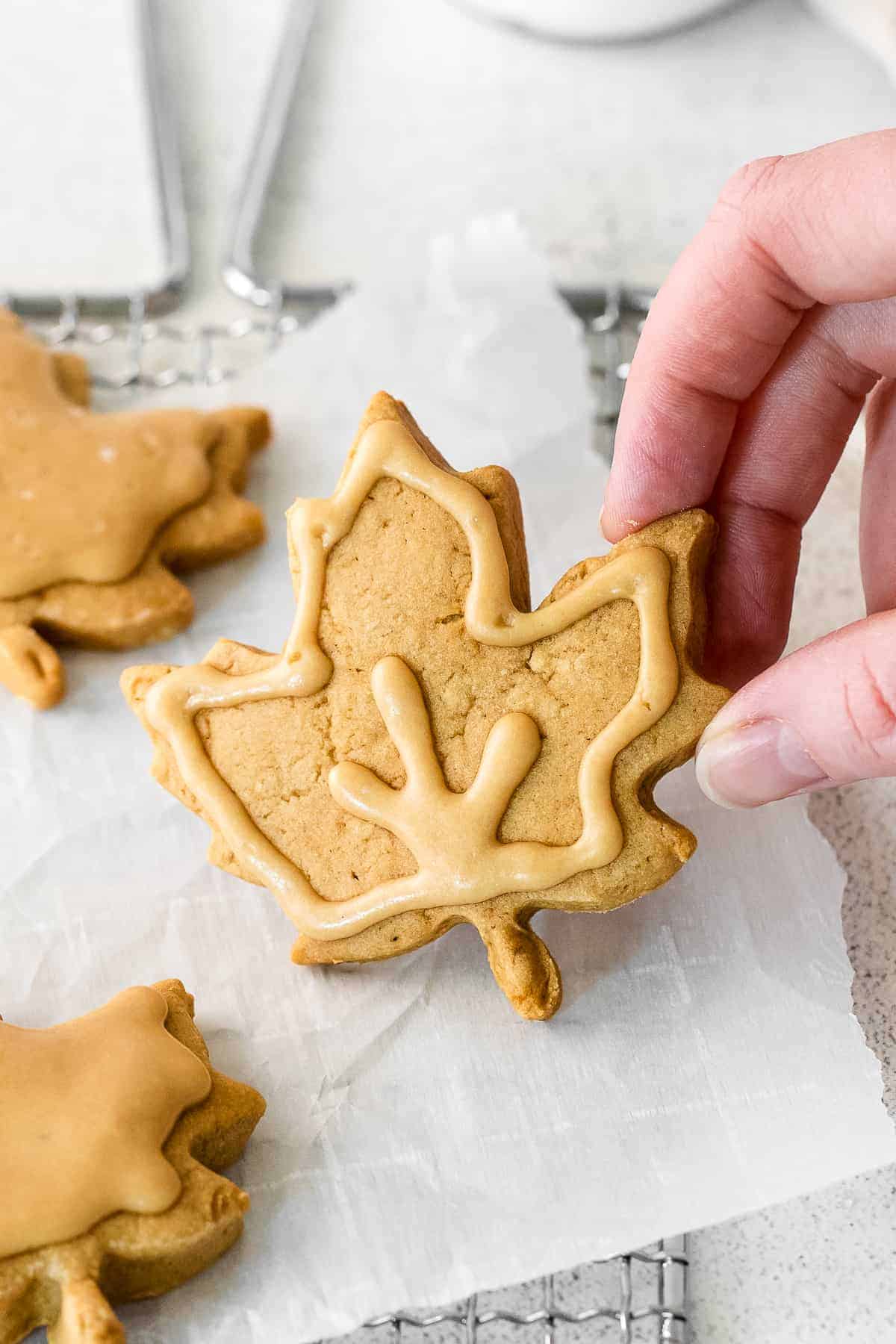 maple sugar cookies