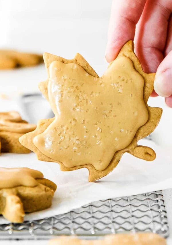 cropped-Maple-Sugar-Cookies-01.jpg