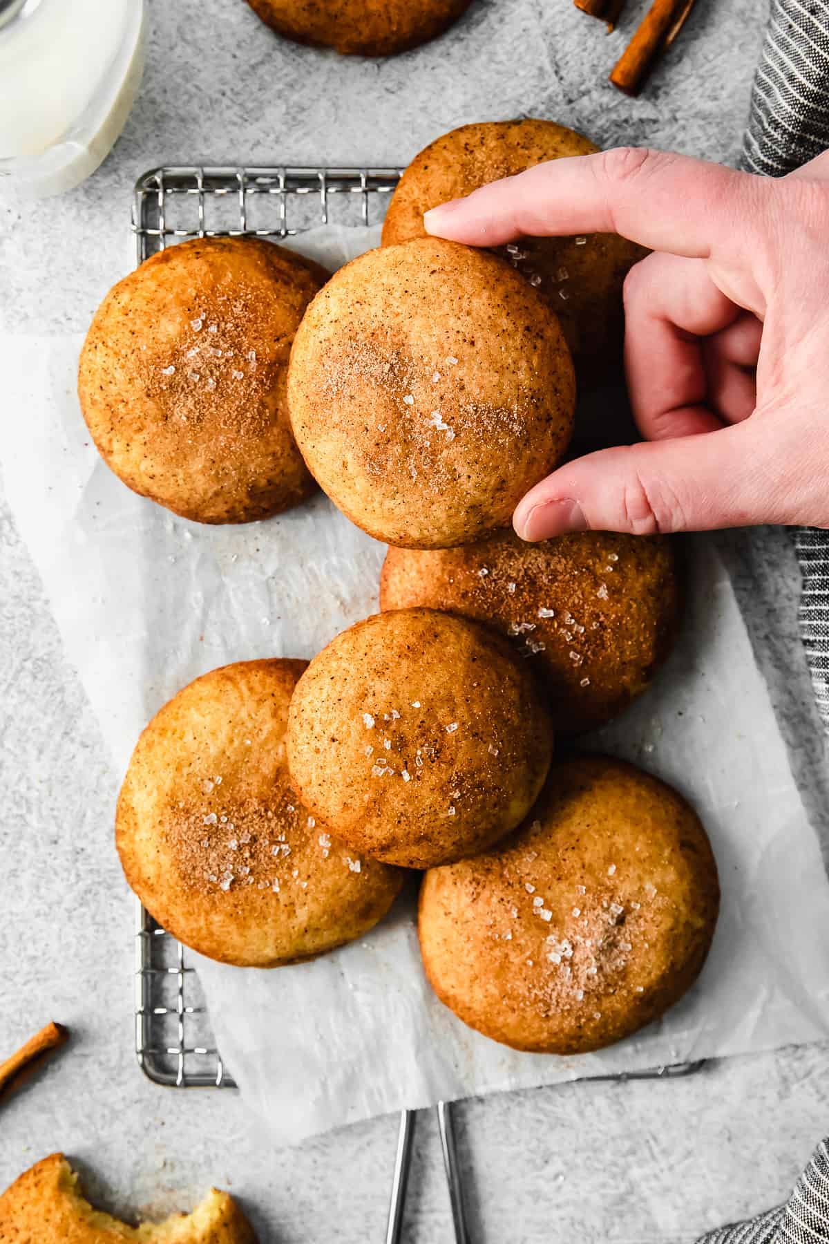 A hand holding a snickerdoodle cookie. 